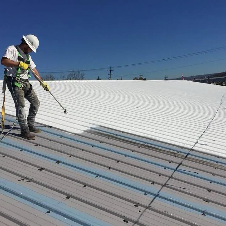 Metalroofcoating (1)